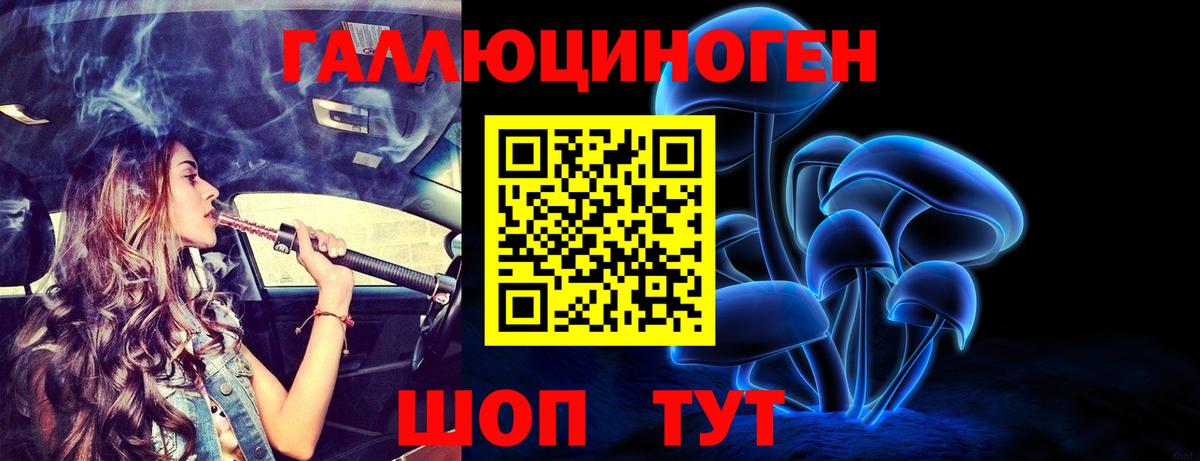 Псилоцибиновые грибы Cubensis Белая Калитва