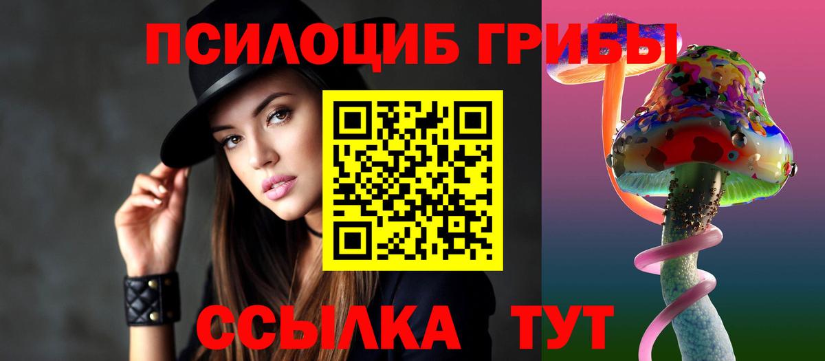 Галлюциногенные грибы Psilocybe  где купить   Белая Калитва 